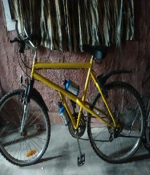 Imagen de Vendo bicicleta