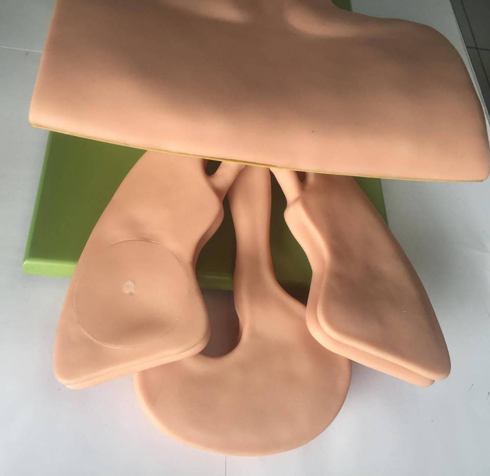 Imagen de Maniquà de Entrenamiento para Intubación Electrónico numero 1