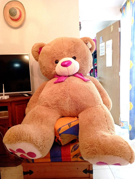 Imagen de Oso de peluche mega jumbo color café REACONDICIONADO SEMINUEVO numero 1