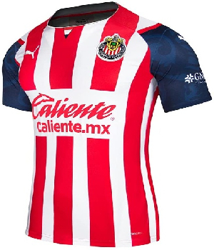Imagen de Playera para dama equipo las chivas del guadalajara marca puma numero 0