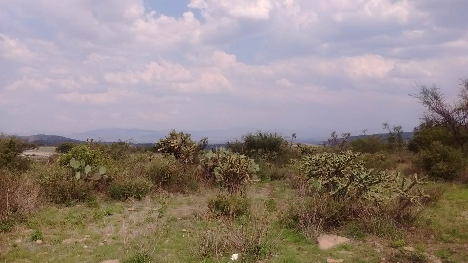Imagen de REMATO 42 HECTÁREAS EN TEQUISQUIAPAN CON ESCRITURAS!!! numero 5