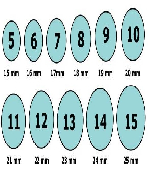 Imagen de ññññññ numero 0