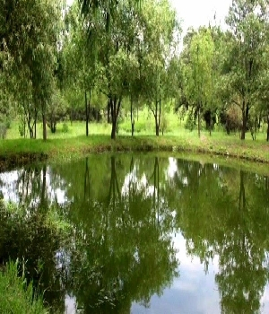 Imagen de HERMOSA CASA DE CAMPO PARA SPA RETIRO CLINICA DESCANSO