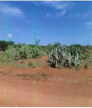 Imagen de Terreno en Venta en Sombrerete numero 0