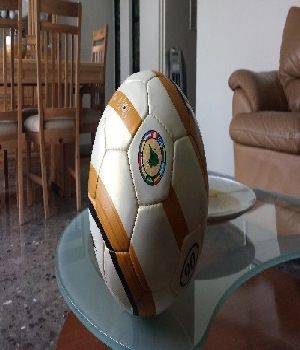 Imagen de BalÃ³n Oficial Profesional Copa AmÃ©rica 2004 