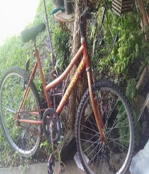 Imagen de bicicleta deterioro en ruedas