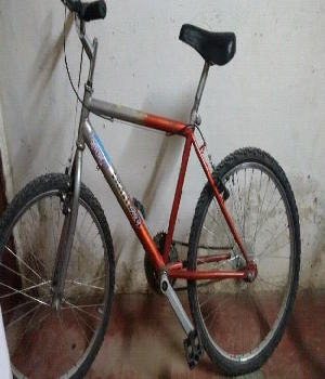 Imagen de Vendo bicicleta rodado 24