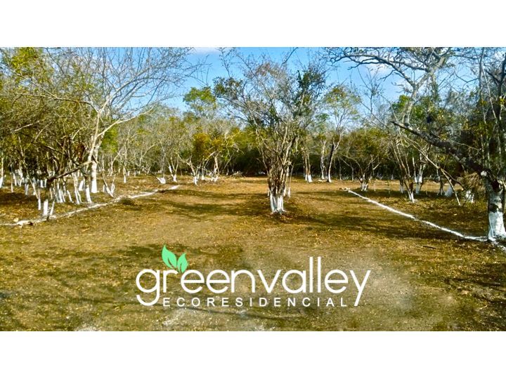 Imagen de Greenvalley terrenos 10x20