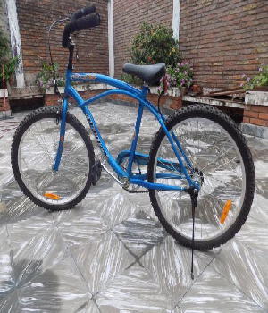 Imagen de Vendo Bicicleta Rodado 24