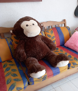 Imagen de Chango gorila de peluche gigante 105 cms suave