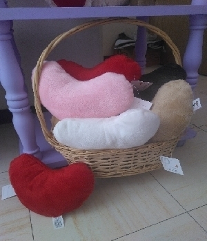 Imagen de Corazones de peluche 20 cms numero 1