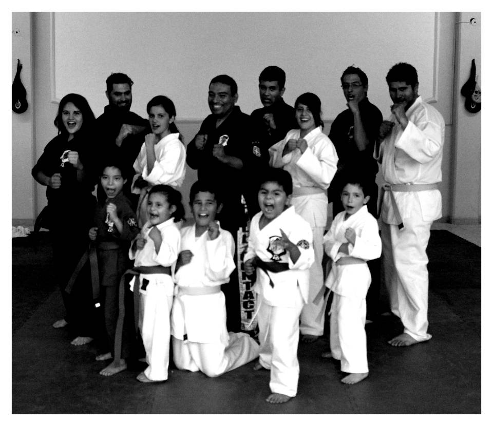 Imagen de KARATE numero 1