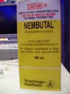 Imagen de MEJOR CALIDAD NEMBUTAL PENTOBARBITAL