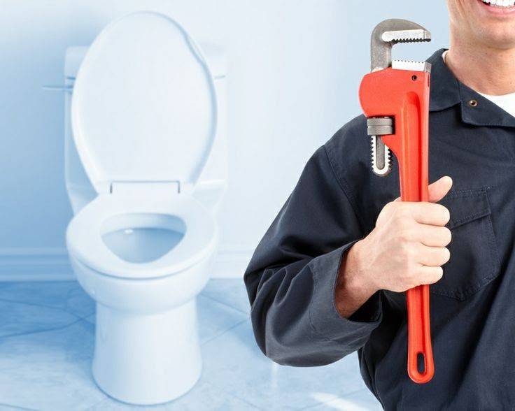 Imagen de PLOMEROS EN LA ZELANDIA 3147535146 numero 1