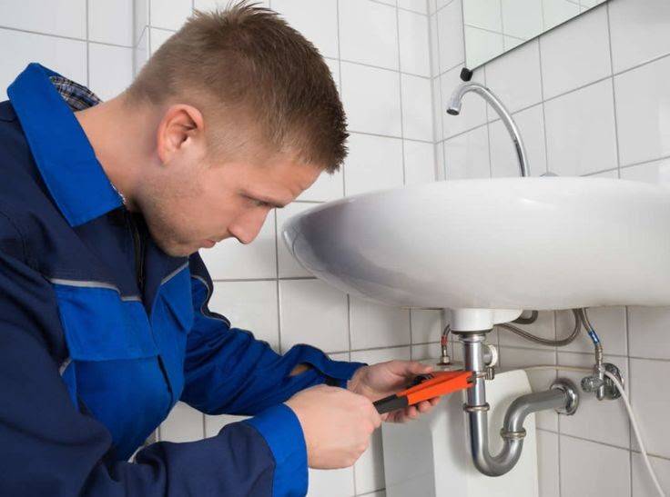 Imagen de PLOMEROS EN LA ZELANDIA 3147535146 numero 2