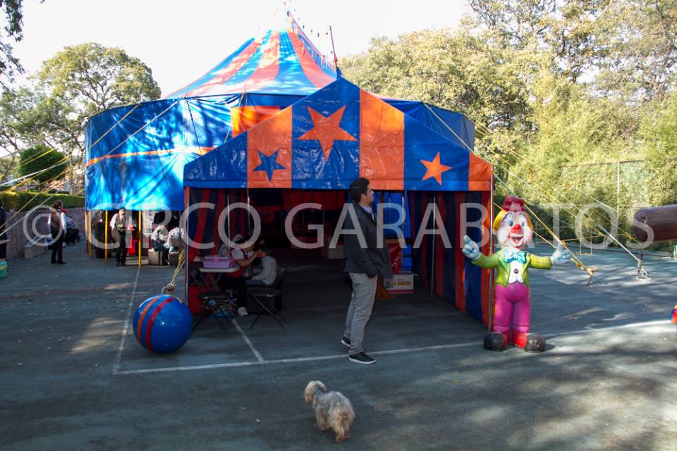 Imagen de RENTA CIRCO CARPA GARABATOS numero 1