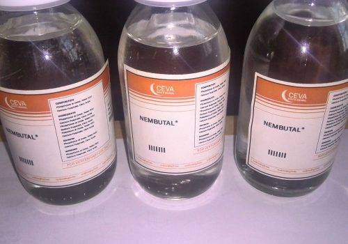 Imagen de Nembuta pentobarbital/Rubifen con calidad hoy.(tomasatlantis86@gmail.com)