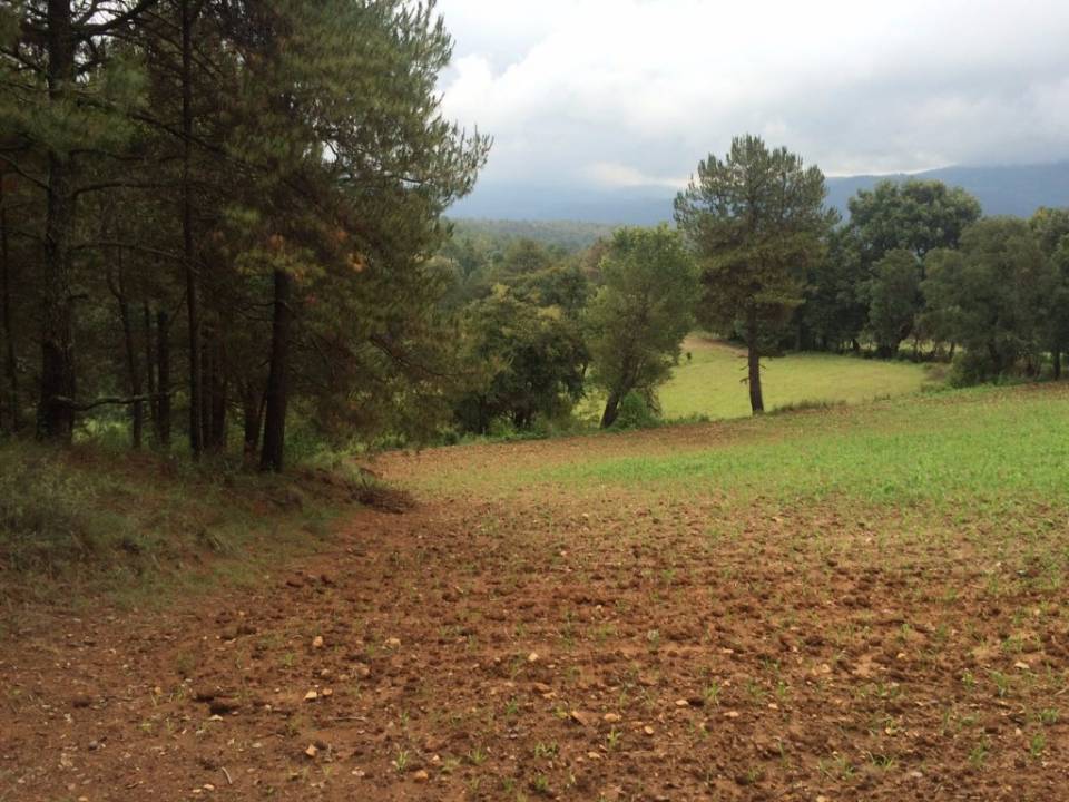 Imagen de TERRENO VALLE DE BRAVO RENTABILIDAD 25 ANUAL numero 0