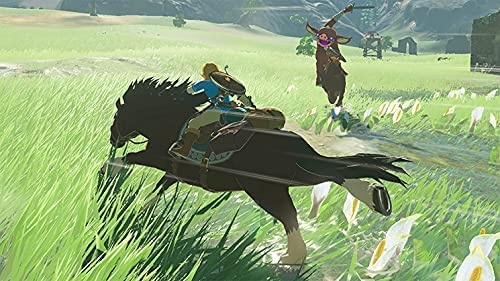 Imagen de The Legend of Zelda Breath of the wild para nintendo switch numero 2