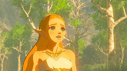 Imagen de The Legend of Zelda Breath of the wild para nintendo switch numero 1