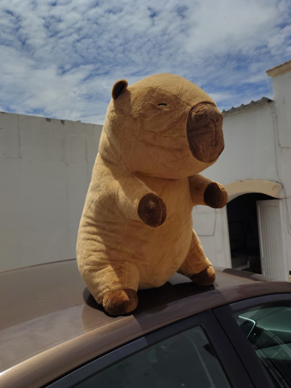 Imagen de Capibara de peluche grande de 75 cm color café